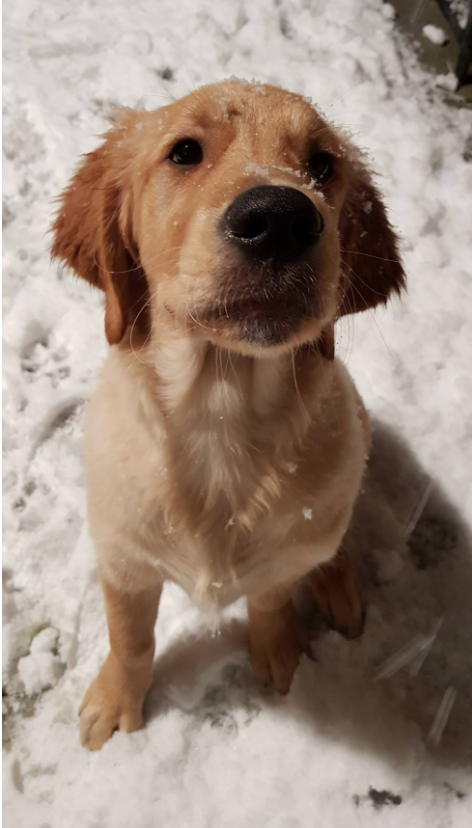 Cheezburger Image 10615601408