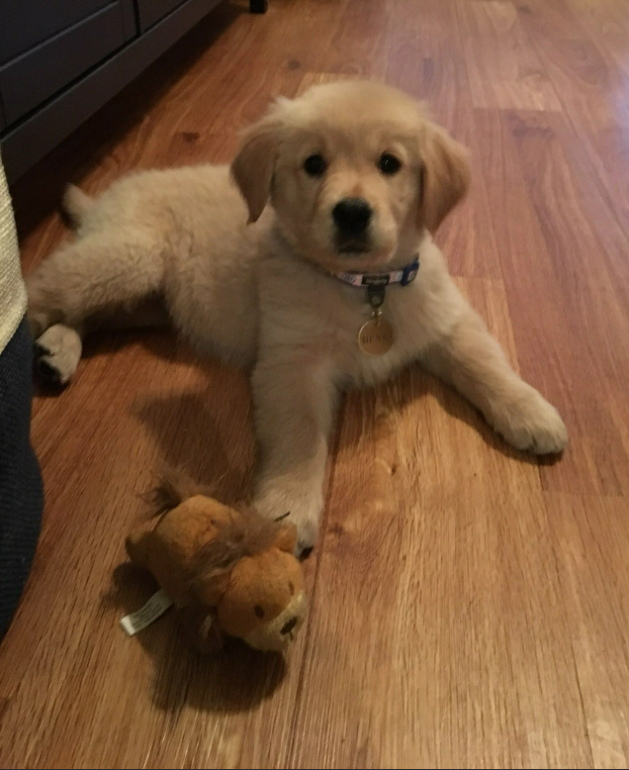 Cheezburger Image 10615602432