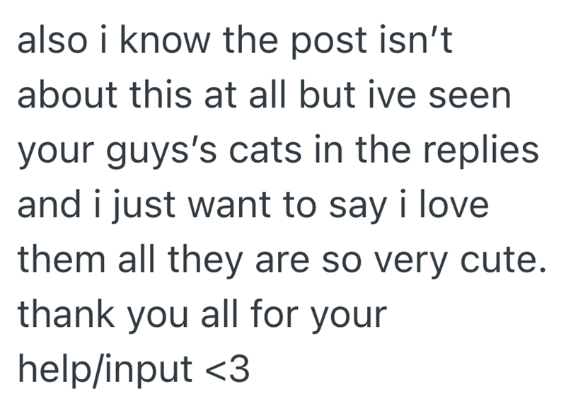 also i know the post isn't about this at all but ive seen your guys's cats in the replies and i just want to say i love. them all they are so very cute. thank you all for your help/input <3