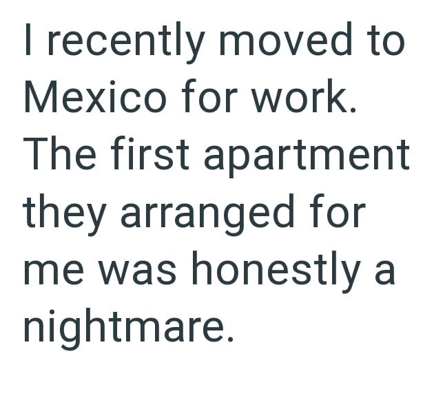 I recently moved to Mexico for work. The first apartment they arranged for me was honestly a nightmare.