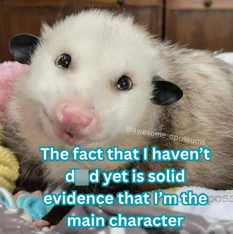 @awesome opossums The fact that I haven't d d yet is solid evidence that I'm the poss main character