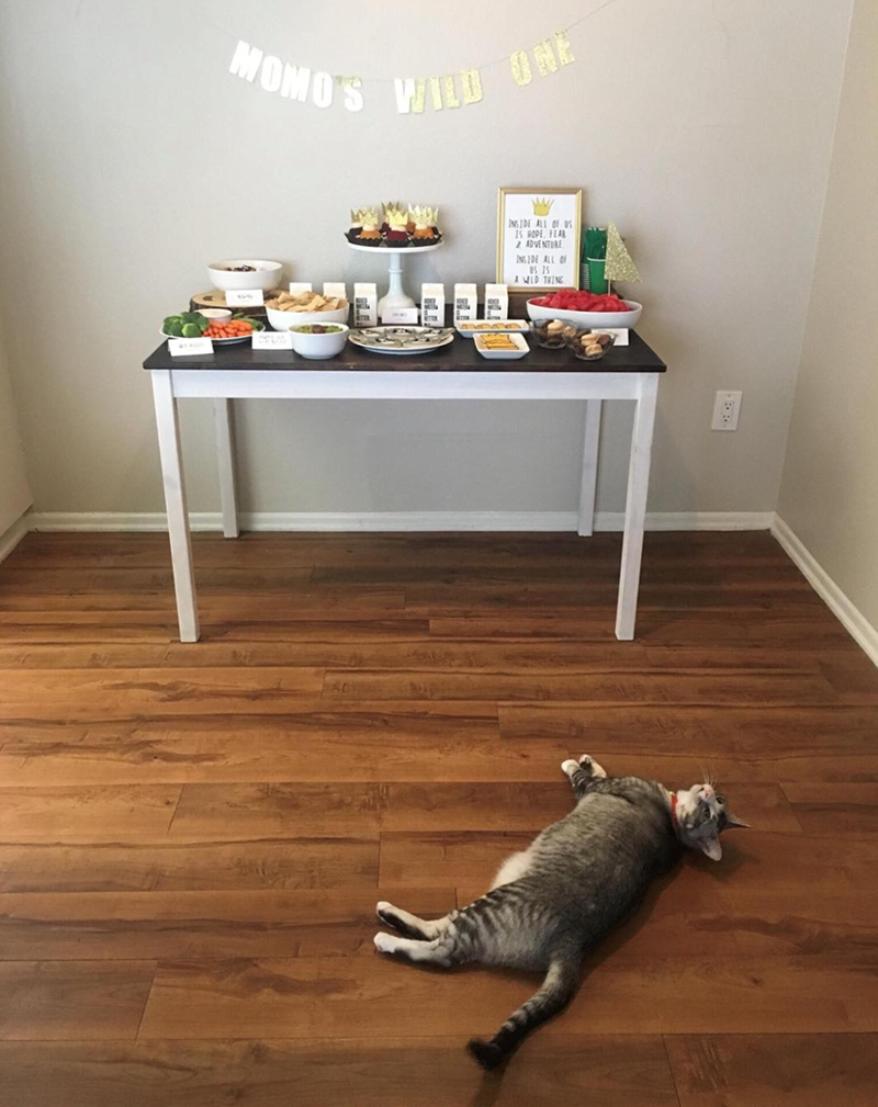 MONO'S WILD ONE INSIDE ALL OF US IS HOPE, FEAR 2 ADVENTURE INSIDE ALL OF US IS A WILD THING