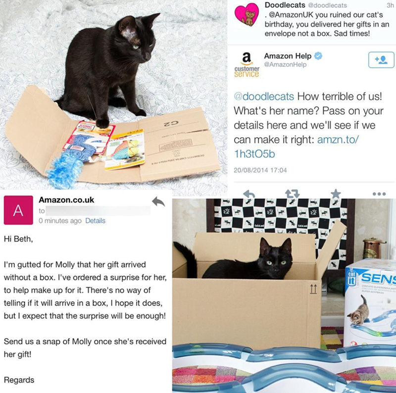 dental ZO A Hi Beth, Amazon.co.uk to O minutes ago Details I'm gutted for Molly that her gift arrived without a box. I've ordered a surprise for her, to help make up for it. There's no way of telling if it will arrive in a box, I hope it does, but I expect that the surprise will be enough! Send us a snap of Molly once she's received her gift! Regards a Doodlecats @doodlecats .@AmazonUK you ruined our cat's birthday, you delivered her gifts in an envelope not a box. Sad times! Amazon Help @Amazon