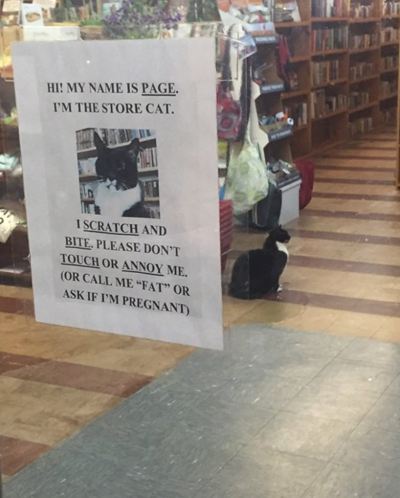 HI! MY NAME IS PAGE. I'M THE STORE CAT. I SCRATCH AND BITE. PLEASE DON'T TOUCH OR ANNOY ME. (OR CALL ME "FAT" OR ASK IF I'M PREGNANT)