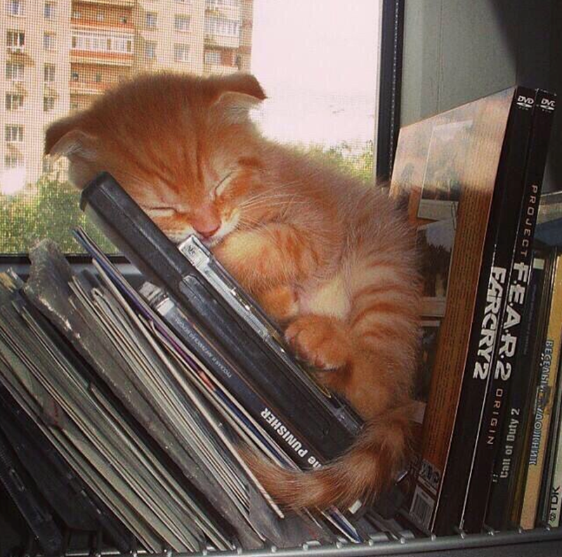 TDK Call of Duty 2 ВЕСЕЛЫЙ ДОЖНИК. 77 PROJECT FEAR2 ORIGIN FARCRY2 he PUNISHER