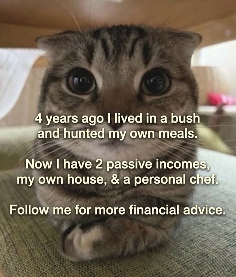4 years ago I lived in a bush and hunted my own meals. Now I have 2 passive incomes, my own house, & a personal chef. Follow me for more financial advice.
