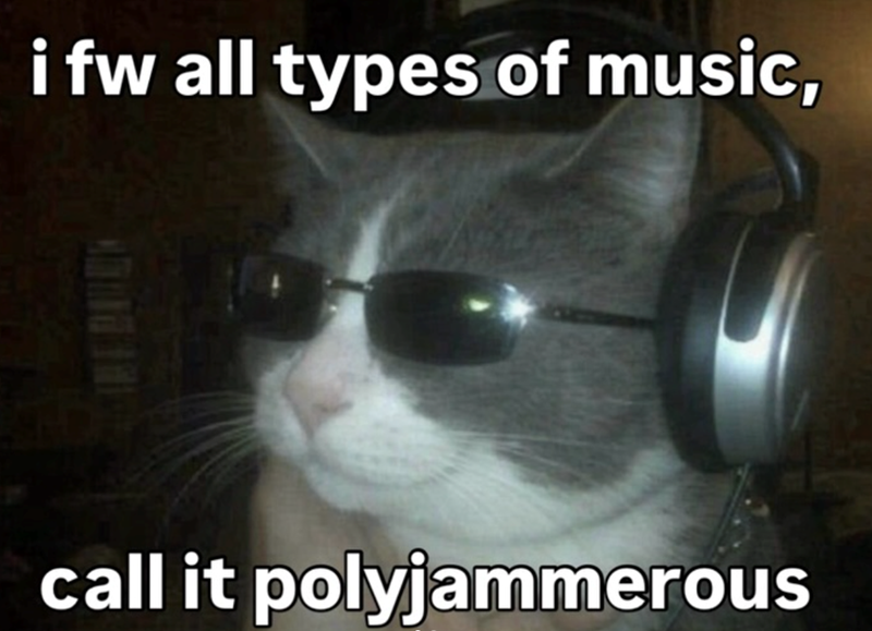 i fw all types of music, call it polyjammerous