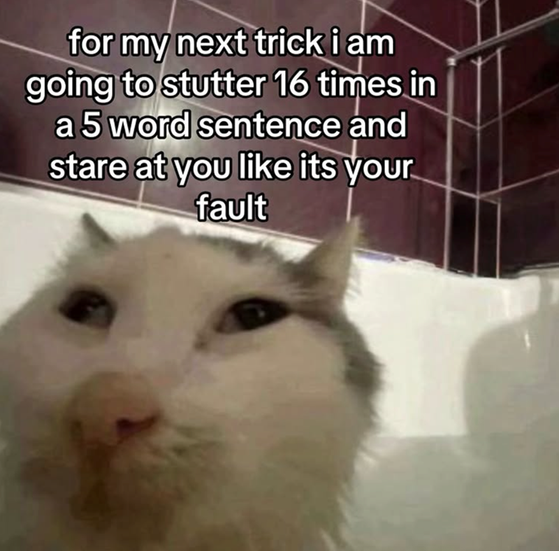 for my next trick i am going to stutter 16 times in a 5 word sentence and stare at you like its your fault