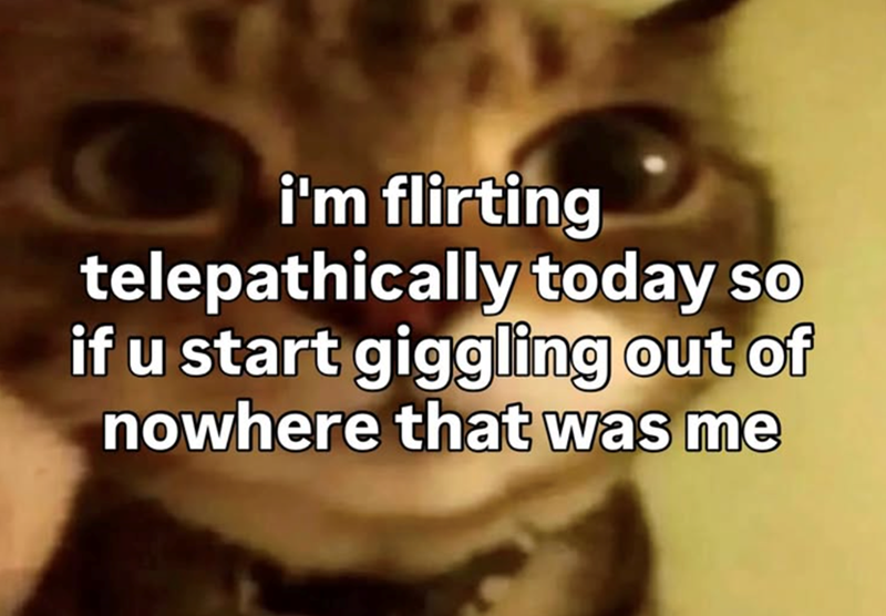 i'm flirting telepathically today so if u start giggling out of nowhere that was me