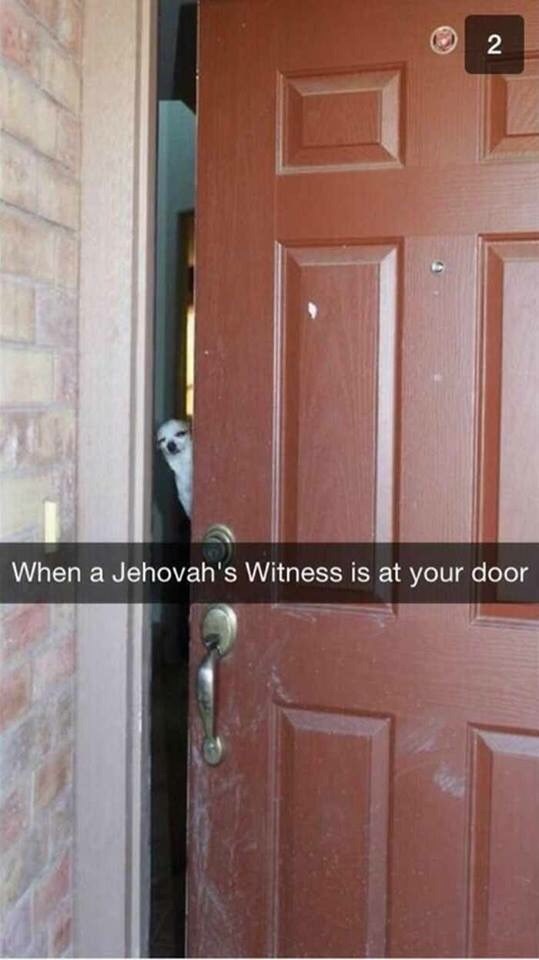 2 When a Jehovah's Witness is at your door