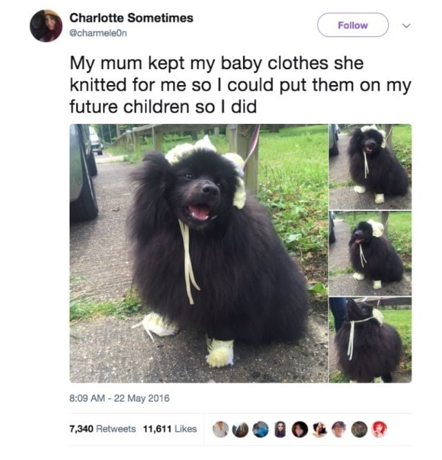 Charlotte Sometimes @charmeleon Follow My mum kept my baby clothes she knitted for me so I could put them on my future children so I did 8:09 AM - 22 May 2016 7,340 Retweets 11,611 Likes