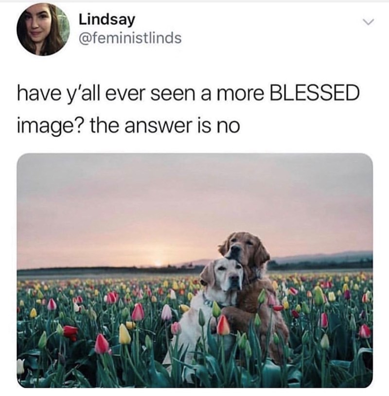 Lindsay @feministlinds have y'all ever seen a more BLESSED image? the answer is no