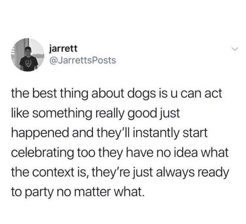 jarrett @JarrettsPosts the best thing about dogs is u can act like something really good just happened and they'll instantly start celebrating too they have no idea what the context is, they're just always ready to party no matter what.