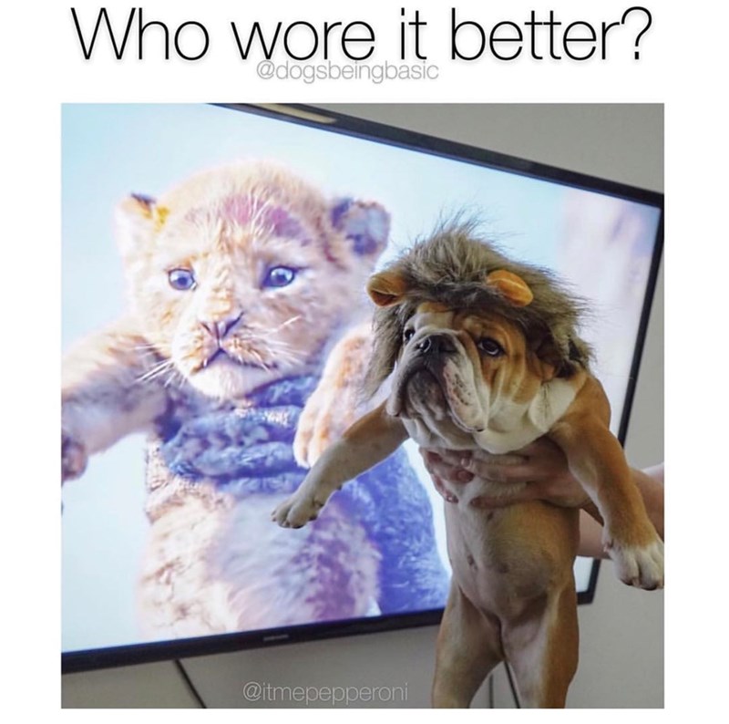 Who wore it better? @dogsbeingbasic @itmepepperoni