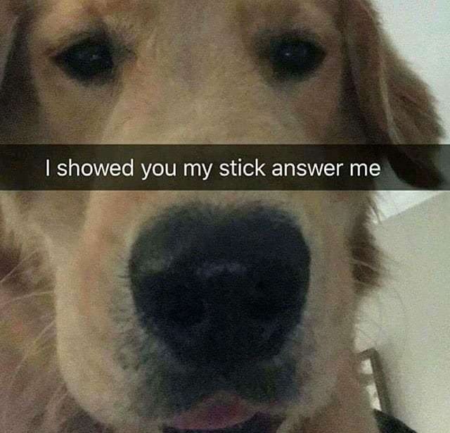 I showed you my stick answer me