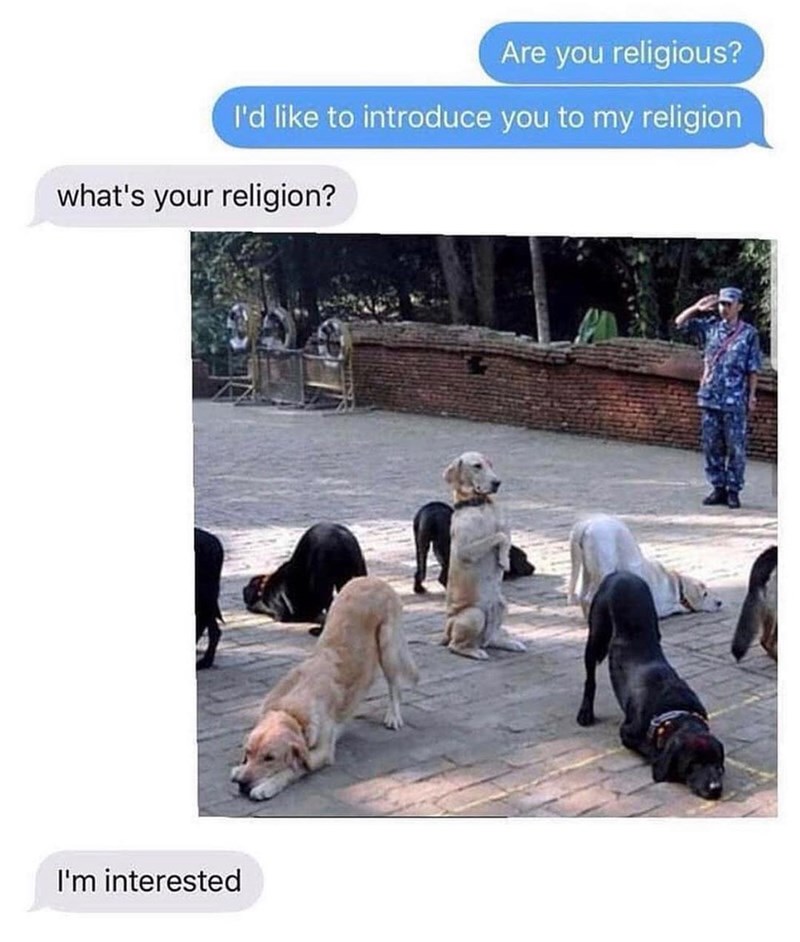 Are you religious? I'd like to introduce you to my religion what's your religion? I'm interested