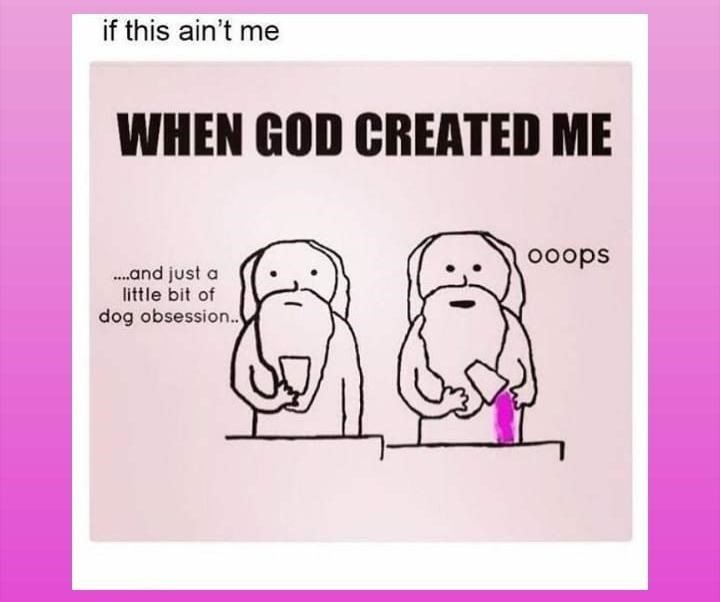 if this ain't me WHEN GOD CREATED ME ....and just a little bit of dog obsession.. ooops