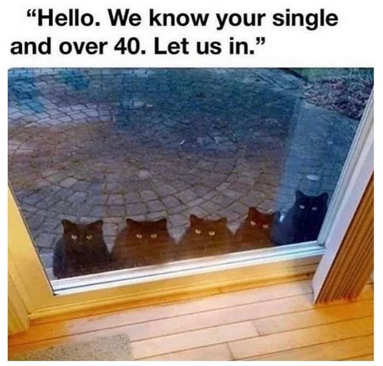 "Hello. We know your single and over 40. Let us in."