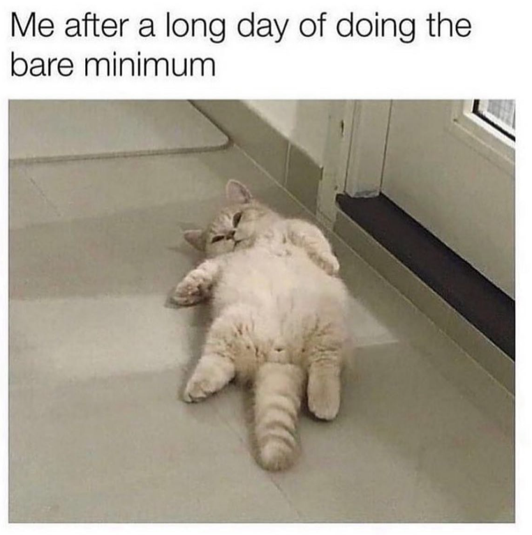 Me after a long day of doing the bare minimum