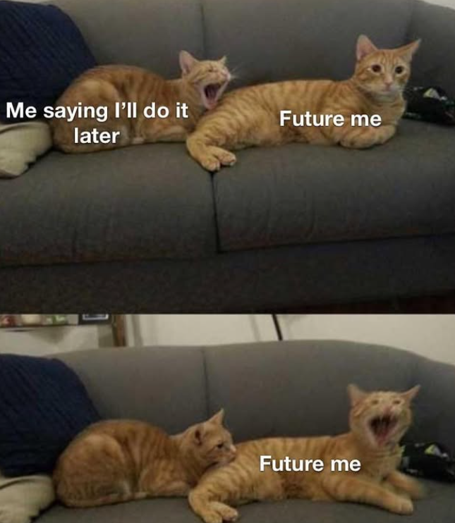 Me saying I'll do it later Future me Future me