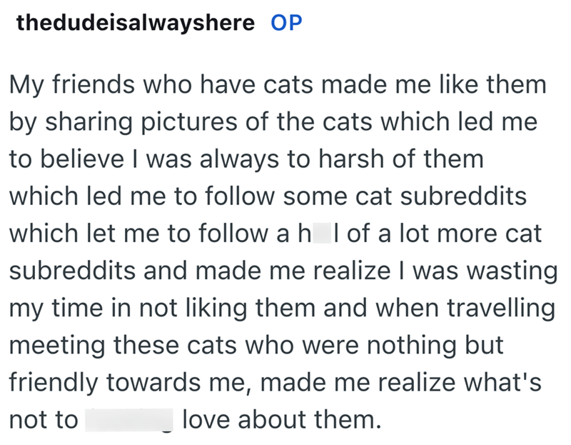 thedudeisalwayshere OP My friends who have cats made me like them by sharing pictures of the cats which led me to believe I was always to harsh of them which led me to follow some cat subreddits which let me to follow a h l of a lot more cat subreddits and made me realize I was wasting my time in not liking them and when travelling meeting these cats who were nothing but friendly towards me, made me realize what's love about them. not to
