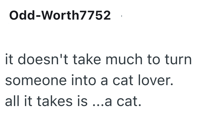 Odd-Worth7752 it doesn't take much to turn someone into a cat lover. all it takes is ...a cat.