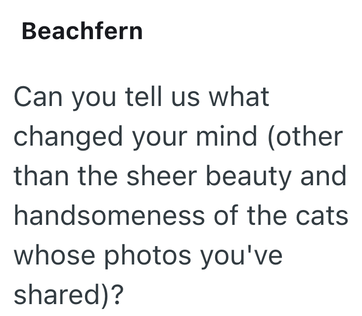 Beachfern Can you tell us what changed your mind (other than the sheer beauty and handsomeness of the cats whose photos you've shared)?
