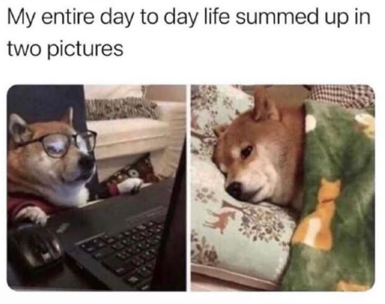My entire day to day life summed up in two pictures