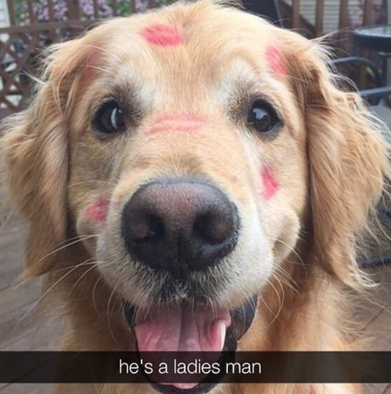 he's a ladies man