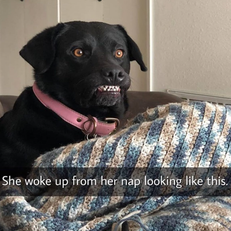 She woke up from her nap looking like this.