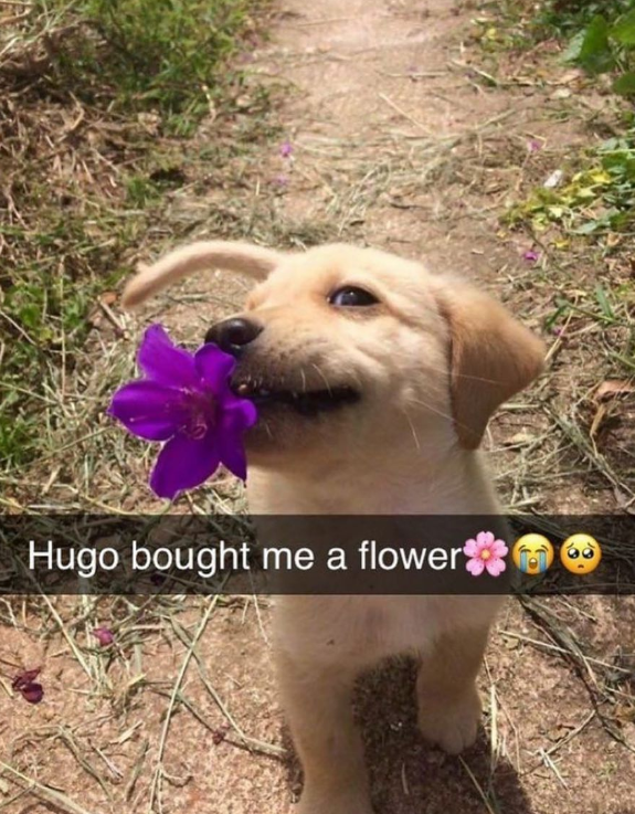 Hugo bought me a flower