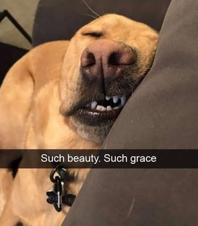 Such beauty. Such grace