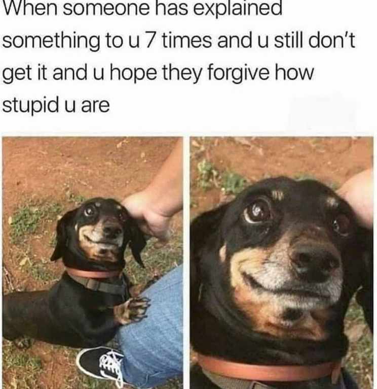 When someone has explained something to u 7 times and u still don't get it and u hope they forgive how stupid u are