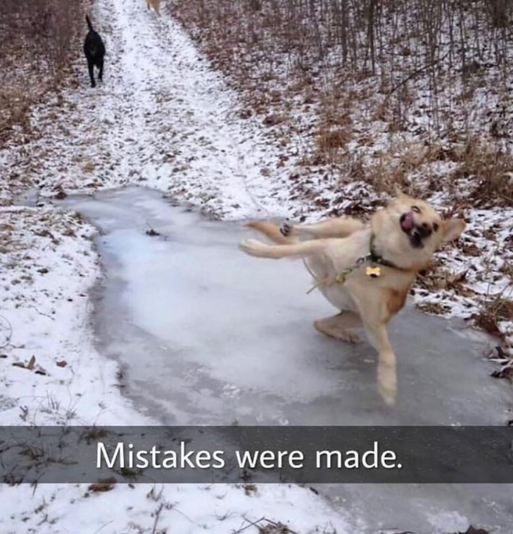 Mistakes were made.