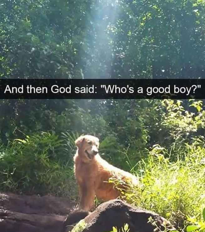 And then God said: "Who's a good boy?"