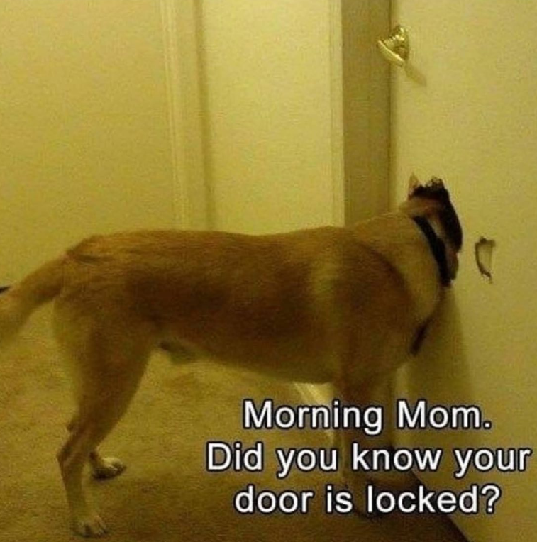 Morning Mom. Did you know your door is locked?