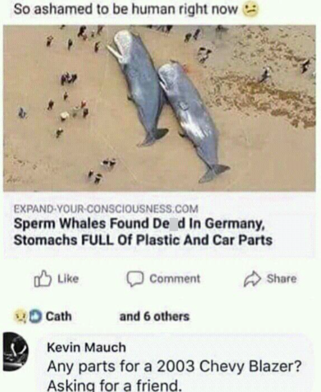 So ashamed to be human right now EXPAND-YOUR-CONSCIOUSNESS.COM Sperm Whales Found Dead In Germany, Stomachs FULL Of Plastic And Car Parts Like Comment Cath and 6 others Share Kevin Mauch Any parts for a 2003 Chevy Blazer? Asking for a friend.