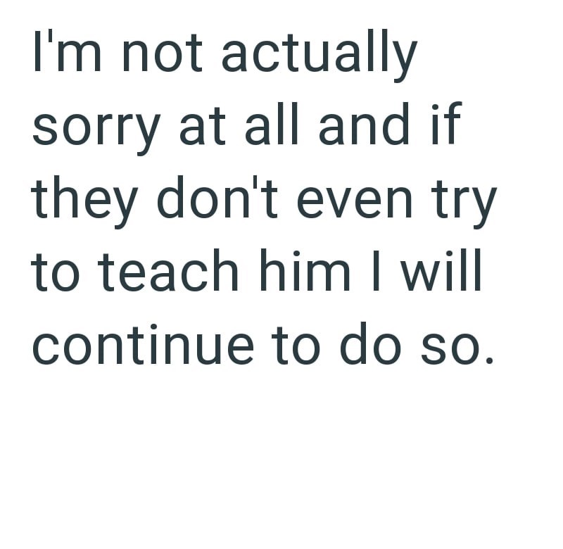 I'm not actually sorry at all and if they don't even try to teach him I will continue to do so.