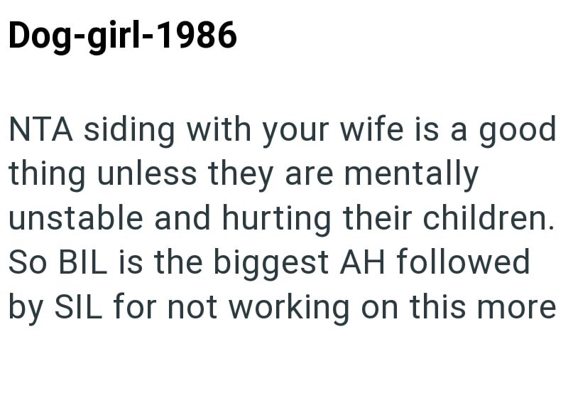 Dog-girl-1986 NTA siding with your wife is a good thing unless they are mentally unstable and hurting their children. So BIL is the biggest AH followed by SIL for not working on this more