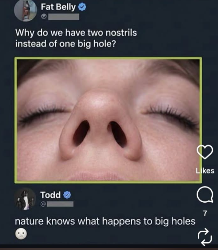 Fat Belly Why do we have two nostrils instead of one big hole? Todd Likes 7 nature knows what happens to big holes