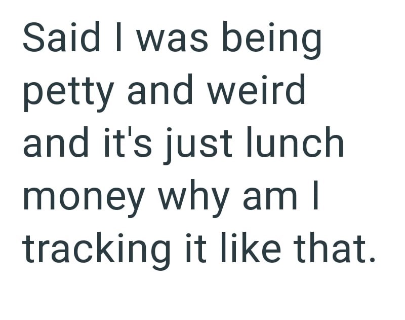 Said I was being petty and weird and it's just lunch money why am I tracking it like that.