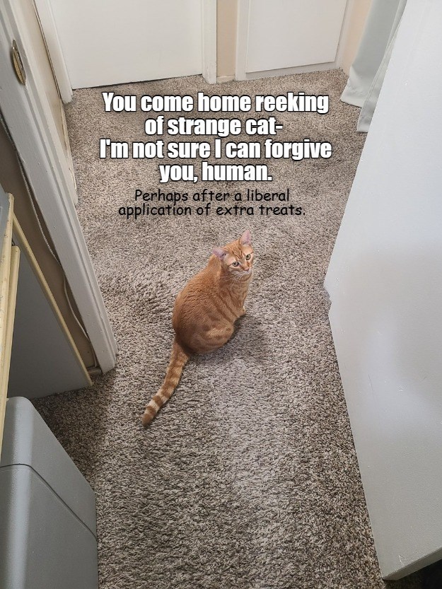 Cheezburger Image 10615766272