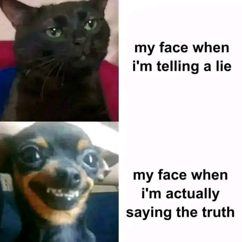 my face when i'm telling a lie my face when i'm actually saying the truth
