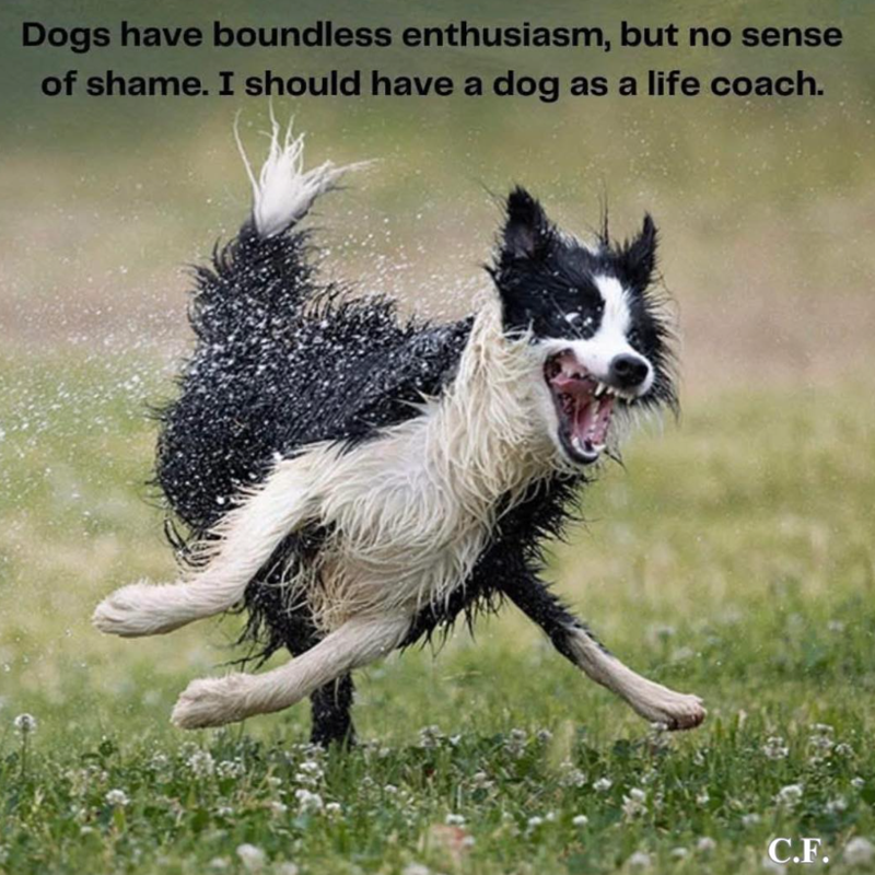 Dogs have boundless enthusiasm, but no sense of shame. I should have a dog as a life coach. C.F.