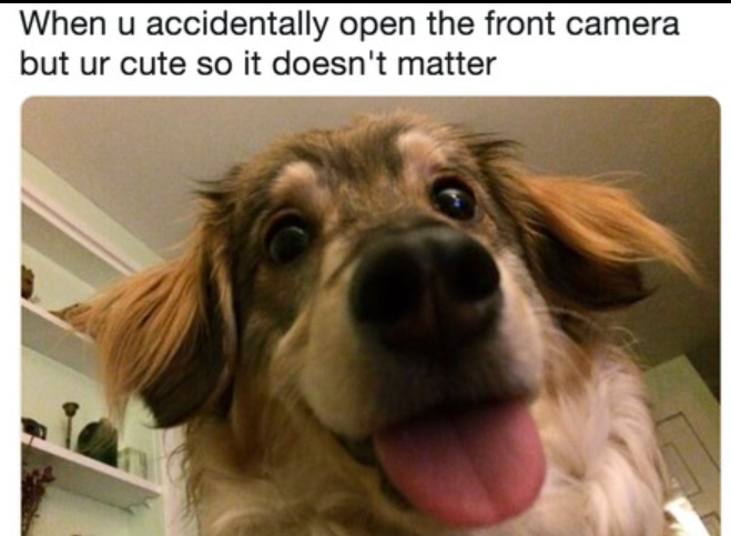 When u accidentally open the front camera but ur cute so it doesn't matter