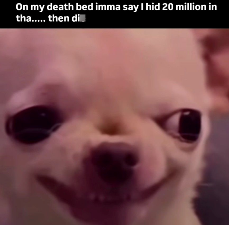 On my death bed imma say I hid 20 million in tha..... then di