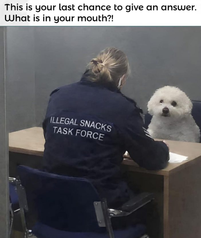 This is your last chance to give an answer. What is in your mouth?! ILLEGAL SNACKS TASK FORCE