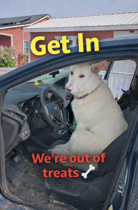 Get In We're out of treats PROTECTIVE CONSE 200