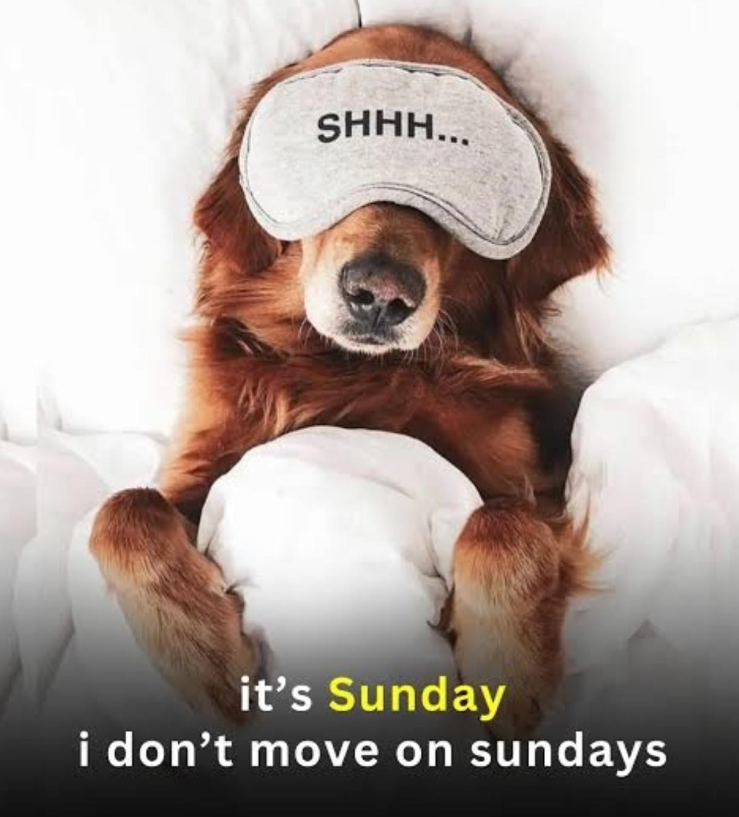 SHHH... it's Sunday i don't move on sundays
