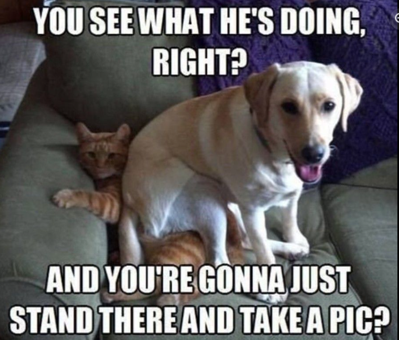 YOU SEE WHAT HE'S DOING, RIGHT? AND YOU'RE GONNA JUST STAND THERE AND TAKE A PIC?